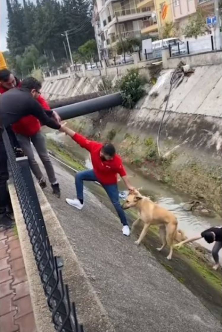 用水路に落ちてしまった野良犬を、みんなの力を合わせて見事に救出成功！ところが、救助していた男性の一人が･･･