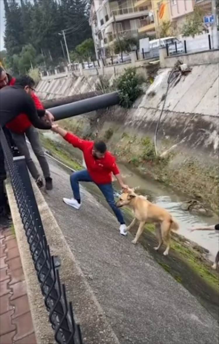 用水路に落ちてしまった野良犬を、みんなの力を合わせて見事に救出成功！ところが、救助していた男性の一人が･･･