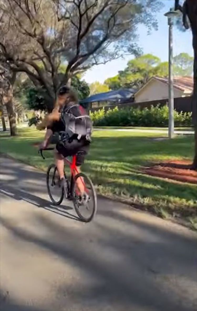 飼い主さんの背中に乗って自転車で冒険の旅へ！サングラスをかけたゴールデンドゥードルは、風を切る姿がキマっています！！