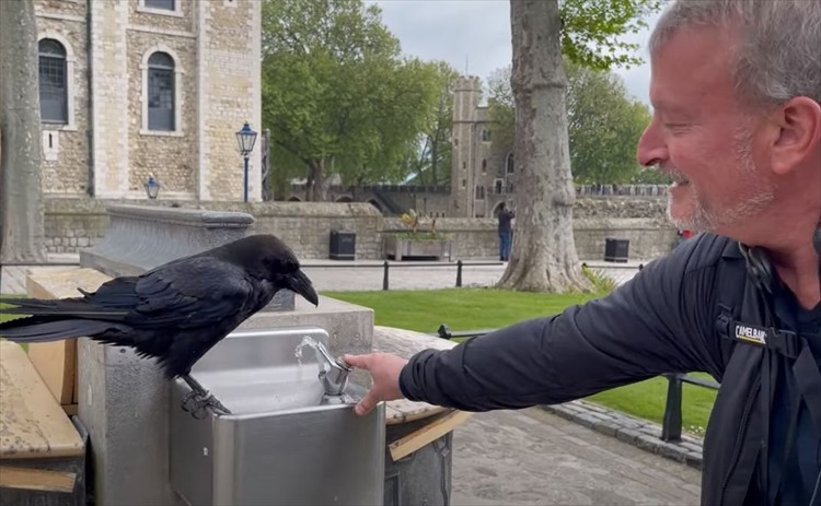 カラスが水を飲めるようにお手伝いしていたつもりが・・・。最後にトンデモなくヒドい目に遭う不憫な男性【海外・動画】