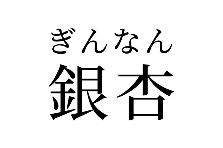 【読めたらスゴイ!】「銀杏」って何のこと!?秋にみかけるあの実です!この漢字、あなたは読めますか?