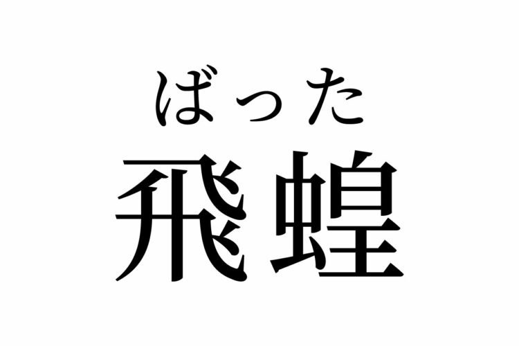 【読めたらスゴイ!】「飛蝗」って何のこと!?カッコイイ漢字だけど、身近な生物です!この漢字、あなたは読めますか?