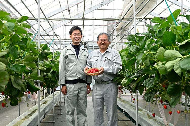 琵琶湖ホテル、春のランチ&いちごスイーツビュッフェを3月18日~4月9日は毎日開催へ
