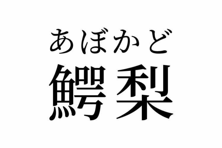 【読めたらスゴイ！】「鰐梨」って何のこと！？フルーツ！？栄養たっぷりアレのことだったんです。この漢字、あなたは読めますか？