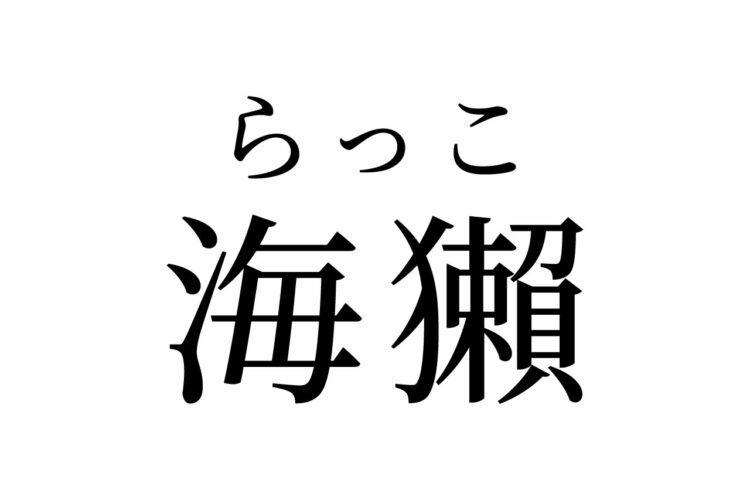 【読めたらスゴイ！】「海獺」って一体何！？とってもキュートな絶滅危惧種！？この漢字、あなたは読めますか？