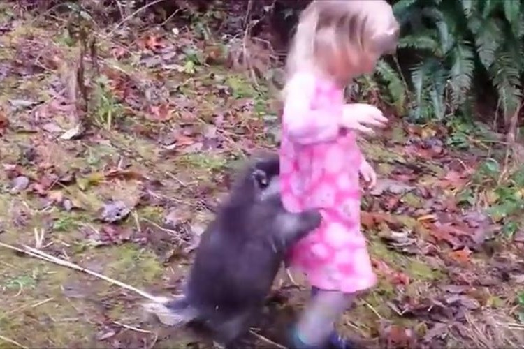 意外と人懐っこい！？突然の雨におびえて飼い主の女の子に抱きつくヤマアラシ…オチも可愛らしい