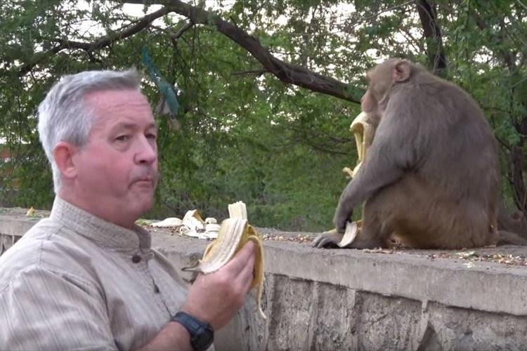 お前が食べるんかい(笑) 好物のバナナをめぐる、目ざとくて欲張りなサルの行動が面白い！