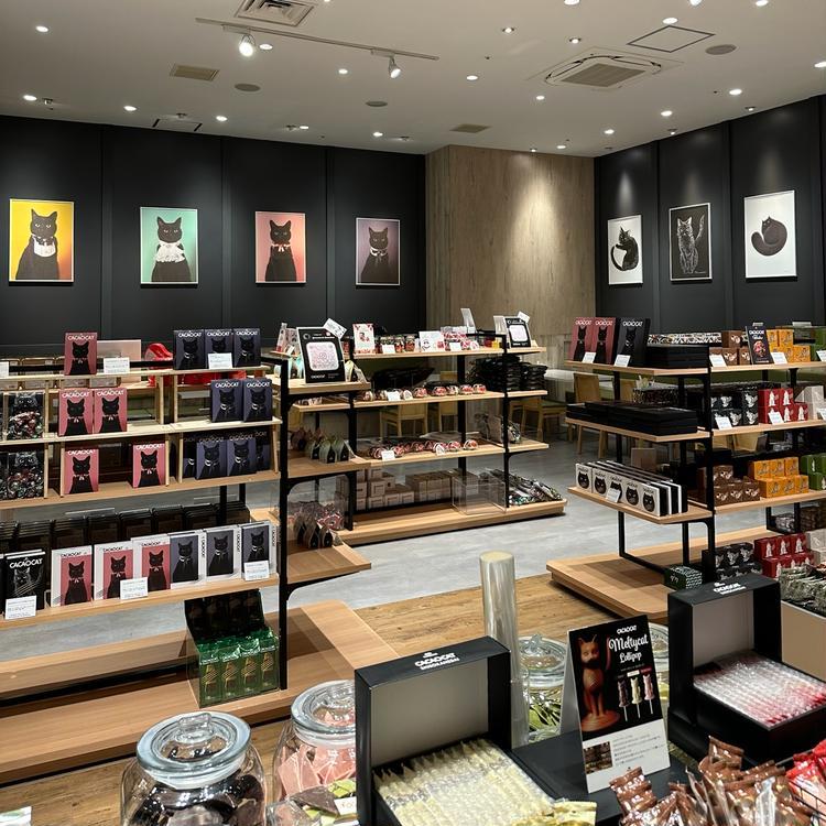 チョコレート専門店『CACAOCAT』がイーアス高尾にNEW OPEN！