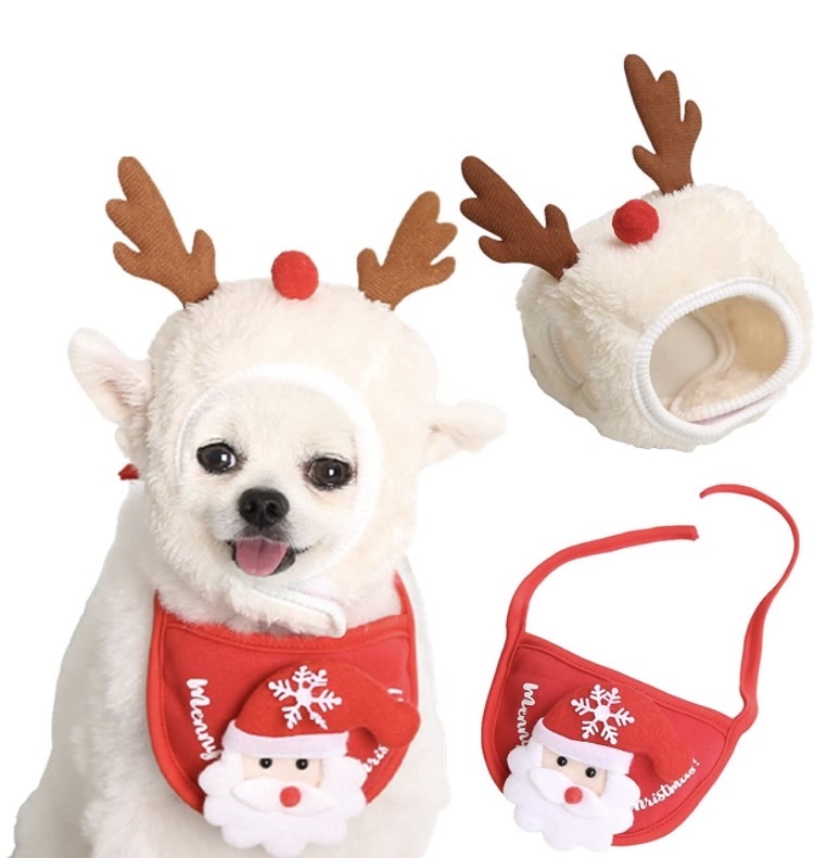 愛猫・愛犬へのおすすめプレゼントを集めました!大切なペットの誕生日や記念日に心のこもったギフトを贈ろう