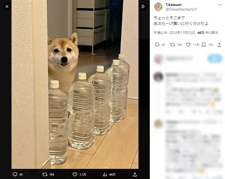 いつもはドライなのに……悲しい表情で飼い主を見送る柴犬