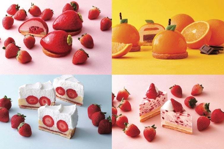 人気のフルーツケーキ“まるでフルーツ”が春爛漫の川越に初上陸!ケーキと焼菓子の店「パティスリージロー」