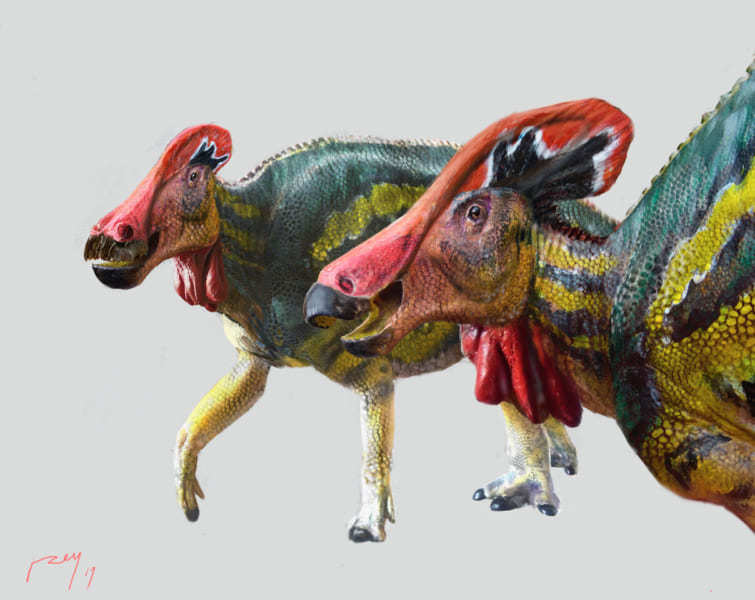 「おしゃべりな新種の恐竜」を発見！　トサカで数キロ先の仲間と会話