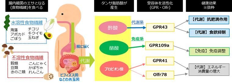 食べていないのになぜ太る？管理栄養士が提案する、夏太り解消法　火を使わず、コンビニ食材で簡単調理！ 「夏のタンサ活レシピ」