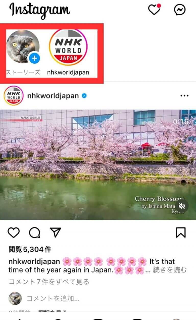 【完全ガイド】Instagram「フォロー」機能の基本とフォロワー増加の仕組み・コツ