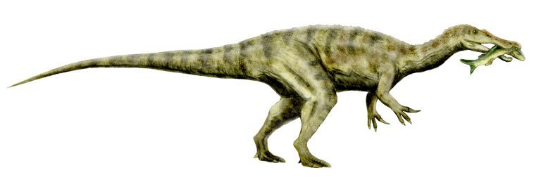 化石の宝庫ワイト島で「スピノサウルス科の新種」を2種同時に発見