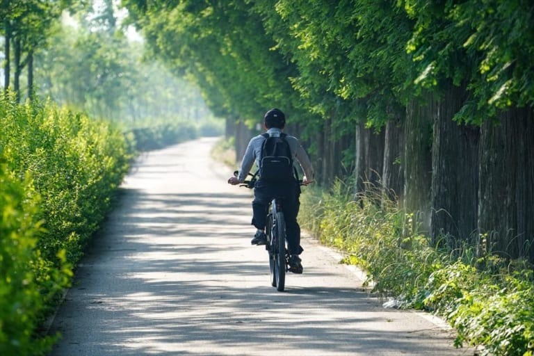 2024年11月1日から自転車「ながら運転」罰則強化！改めて考えたい免許不要の車両の責任