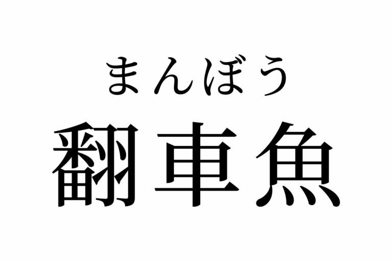 【読めたらスゴイ！】「翻車魚」ってどんな魚？車に似てる！？この漢字、あなたは読めますか？