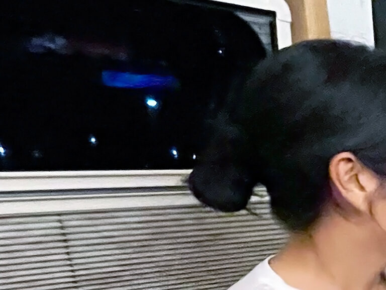 ハイエースより広いバンで旅をした！VANLIFEのリアルな使い心地