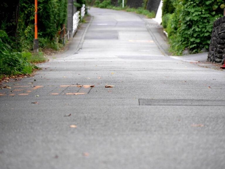 「自宅の前の道路に車を一晩停めただけ」でも駐車違反になる？最悪前科がつく？