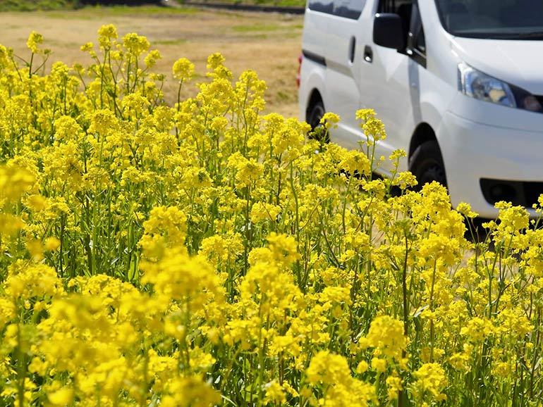 【ベストシーズン到来！】春の車中泊の注意点・あるといいものをご紹介