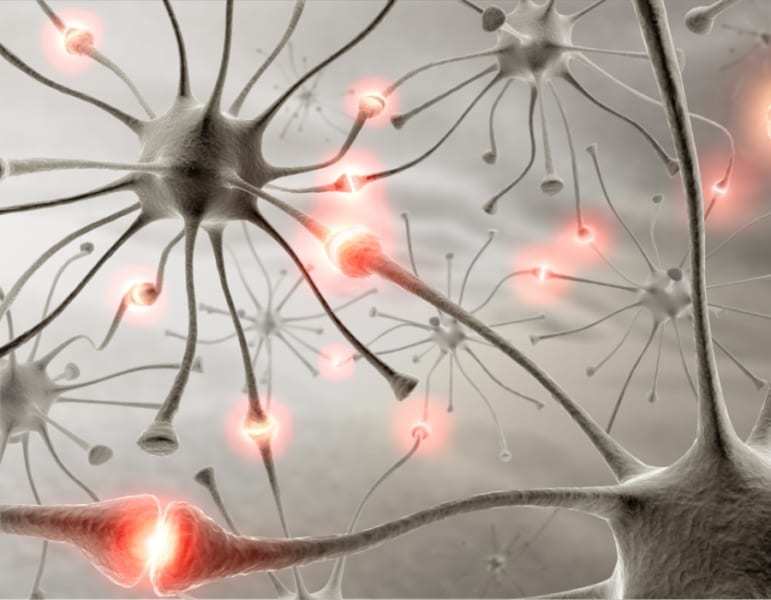 ヒトの脳に近い記憶媒体「人工ニューロン」が考案される