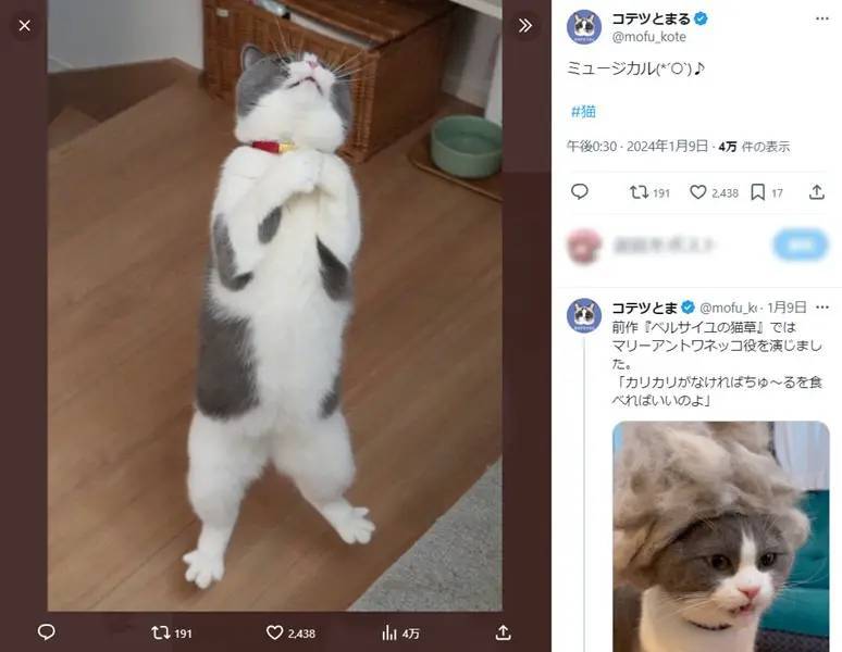 リアルキャッツが「メモリー」熱唱？愛猫のミュージカル風写真に飼い主も妄想はかどる