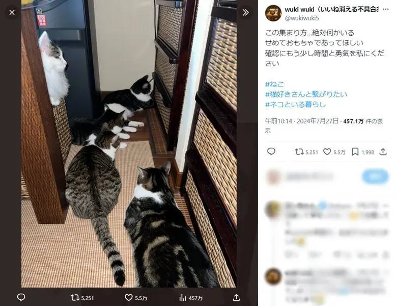 絶対に何かいる……1か所に注目している5匹の猫に「嫌な予感」