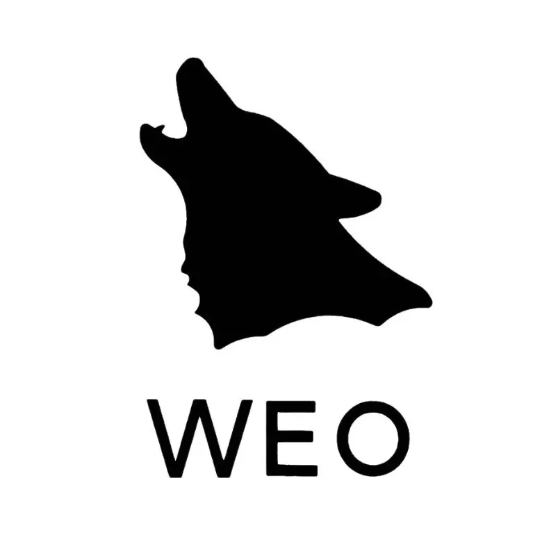 ソロキャンプ用「やきにく用焚火台/WEO」に便利なオプションギアが追加