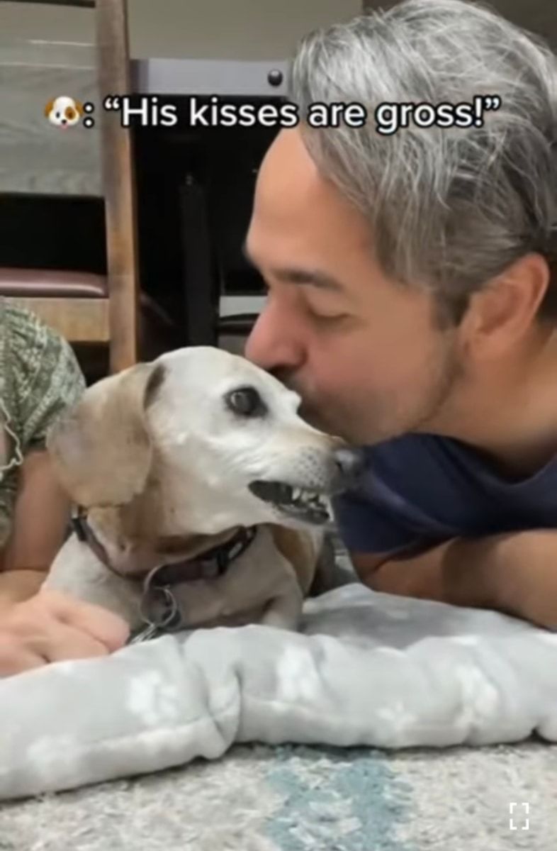 キスしていいのはママだけ!ママとパパが愛犬に交互でキスしたら、愛犬の露骨に違う態度が面白い!
