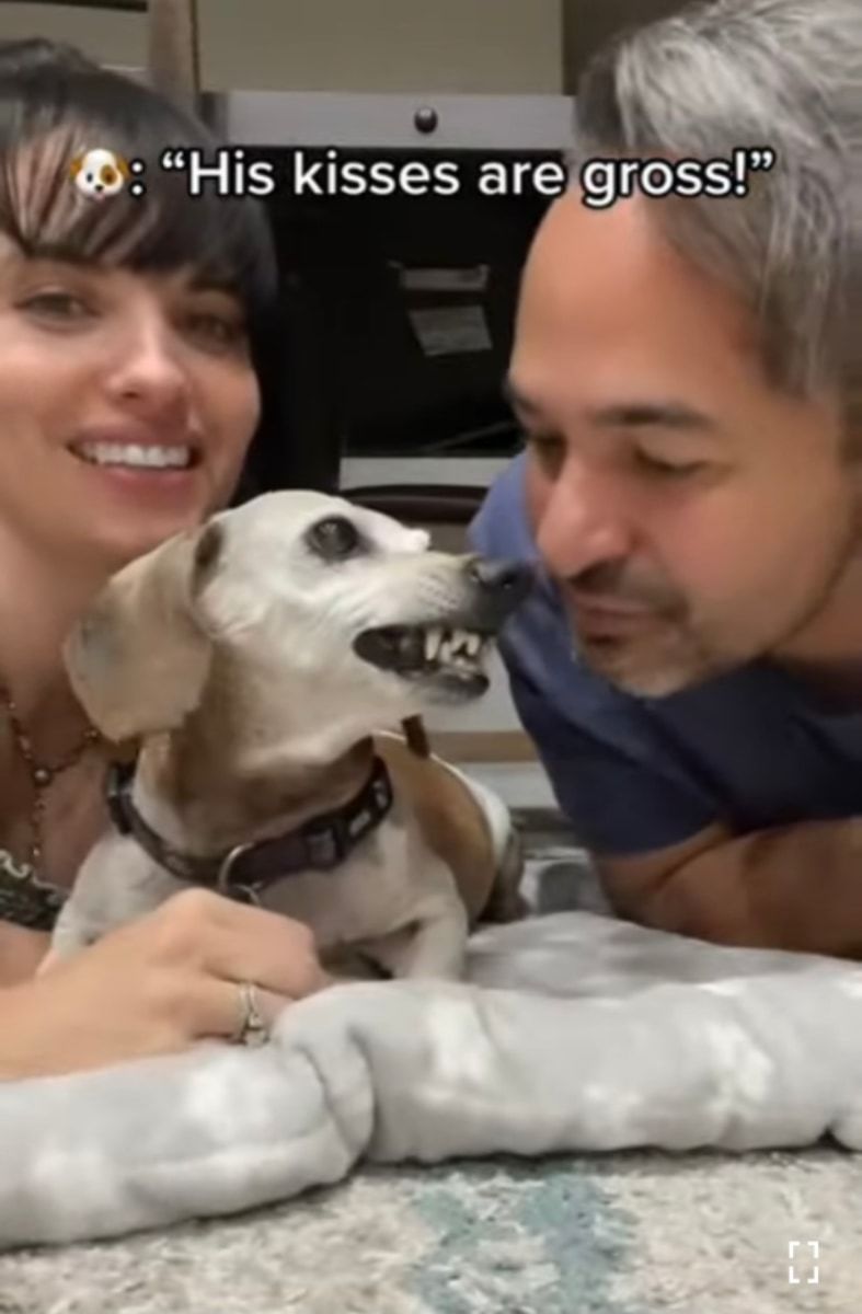 キスしていいのはママだけ!ママとパパが愛犬に交互でキスしたら、愛犬の露骨に違う態度が面白い!