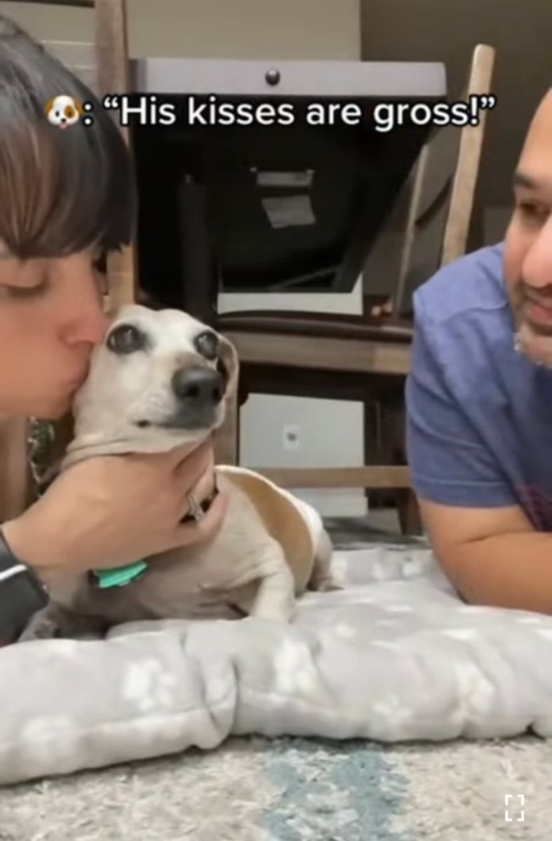 キスしていいのはママだけ!ママとパパが愛犬に交互でキスしたら、愛犬の露骨に違う態度が面白い!