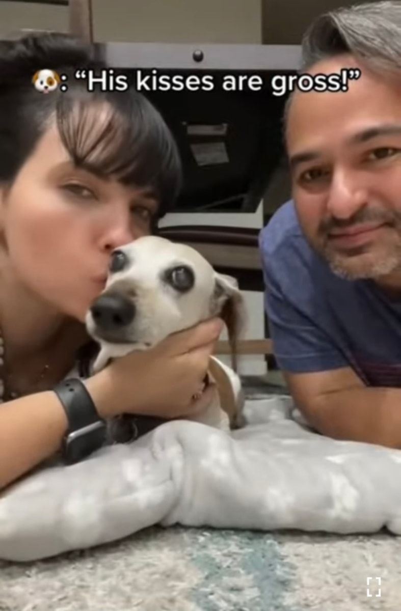キスしていいのはママだけ!ママとパパが愛犬に交互でキスしたら、愛犬の露骨に違う態度が面白い!