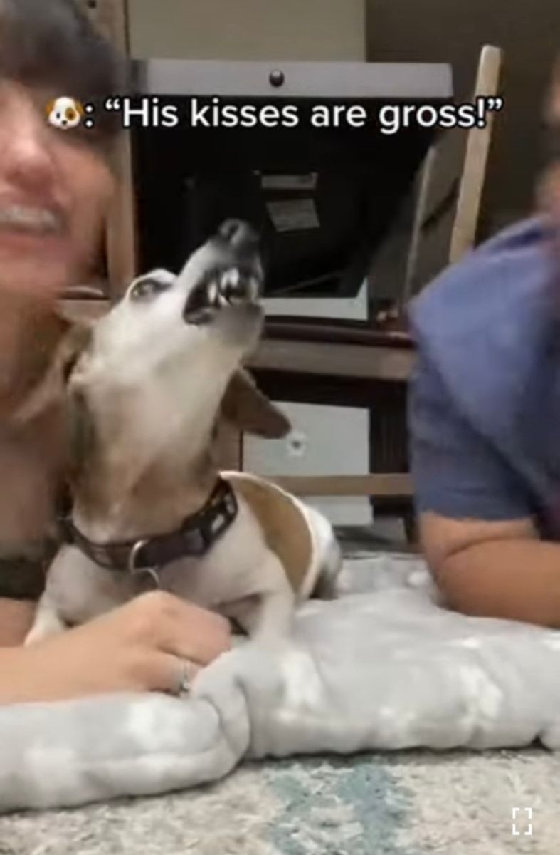 キスしていいのはママだけ!ママとパパが愛犬に交互でキスしたら、愛犬の露骨に違う態度が面白い!