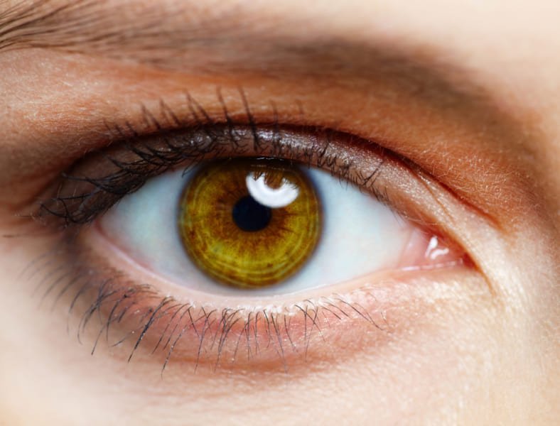 世界初の3Dプリント義眼、英国で提供　「本物と見分けがつかない」