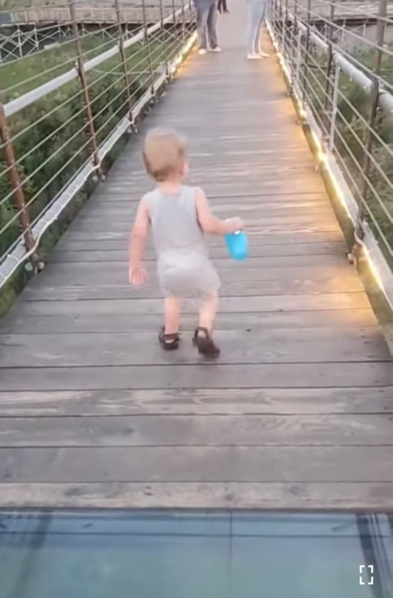 【1億再生超え】ガラス張りのつり橋を渡ろうとした男の子。慎重に足を踏み入れたが、下を見てある決断をしました