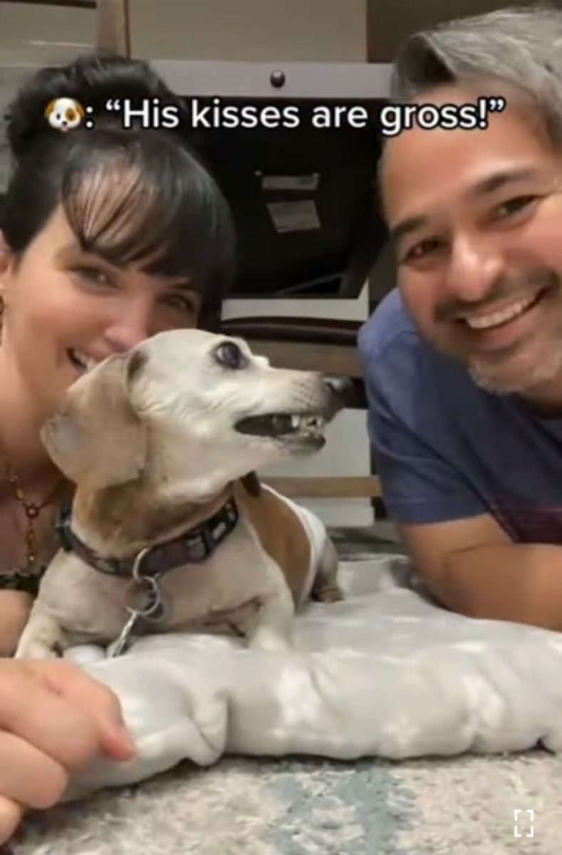 キスしていいのはママだけ!ママとパパが愛犬に交互でキスしたら、愛犬の露骨に違う態度が面白い!