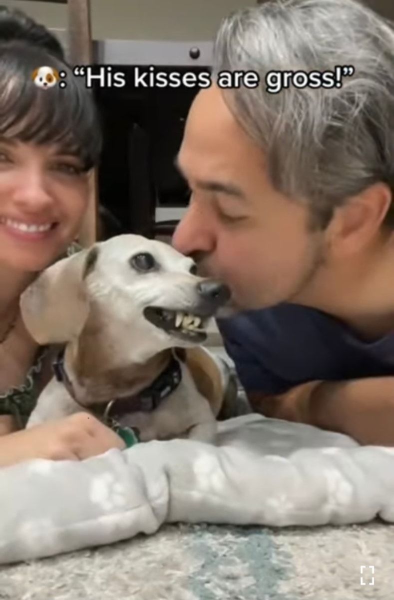 キスしていいのはママだけ!ママとパパが愛犬に交互でキスしたら、愛犬の露骨に違う態度が面白い!