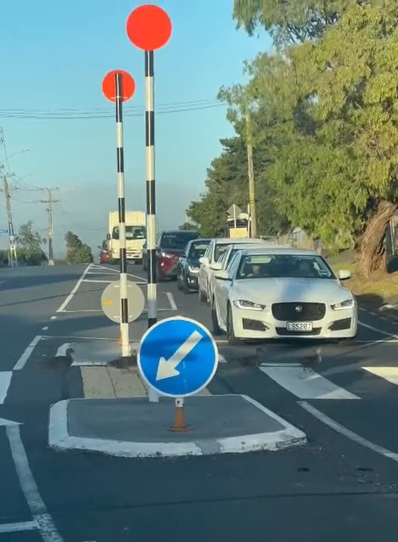 無人の横断歩道の手前で車が止まった理由にほっこり。アヒルの家族が並んで横断中！！【海外・動画】