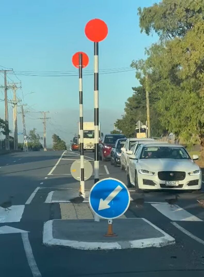 無人の横断歩道の手前で車が止まった理由にほっこり。アヒルの家族が並んで横断中！！【海外・動画】