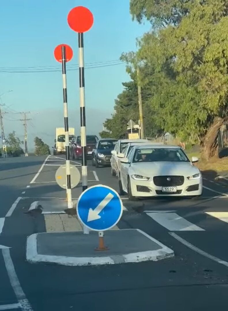 無人の横断歩道の手前で車が止まった理由にほっこり。アヒルの家族が並んで横断中！！【海外・動画】