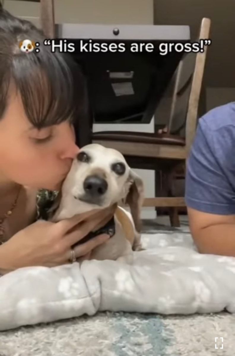 キスしていいのはママだけ!ママとパパが愛犬に交互でキスしたら、愛犬の露骨に違う態度が面白い!