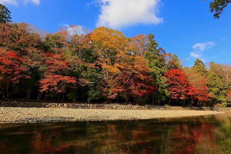 見頃に合わせて参拝、伊勢神宮の紅葉のベストシーズンは？人気スポットもご紹介！