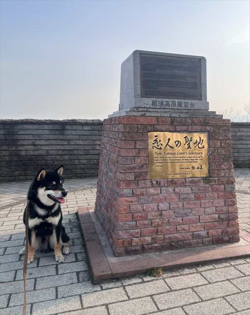 愛犬の行動に飼い主さん感動！展望台からの眺望を楽しんでいた時の出来事が話題に「飼い主さんと同じ目線で、同じ景色を観たいのかな〜」