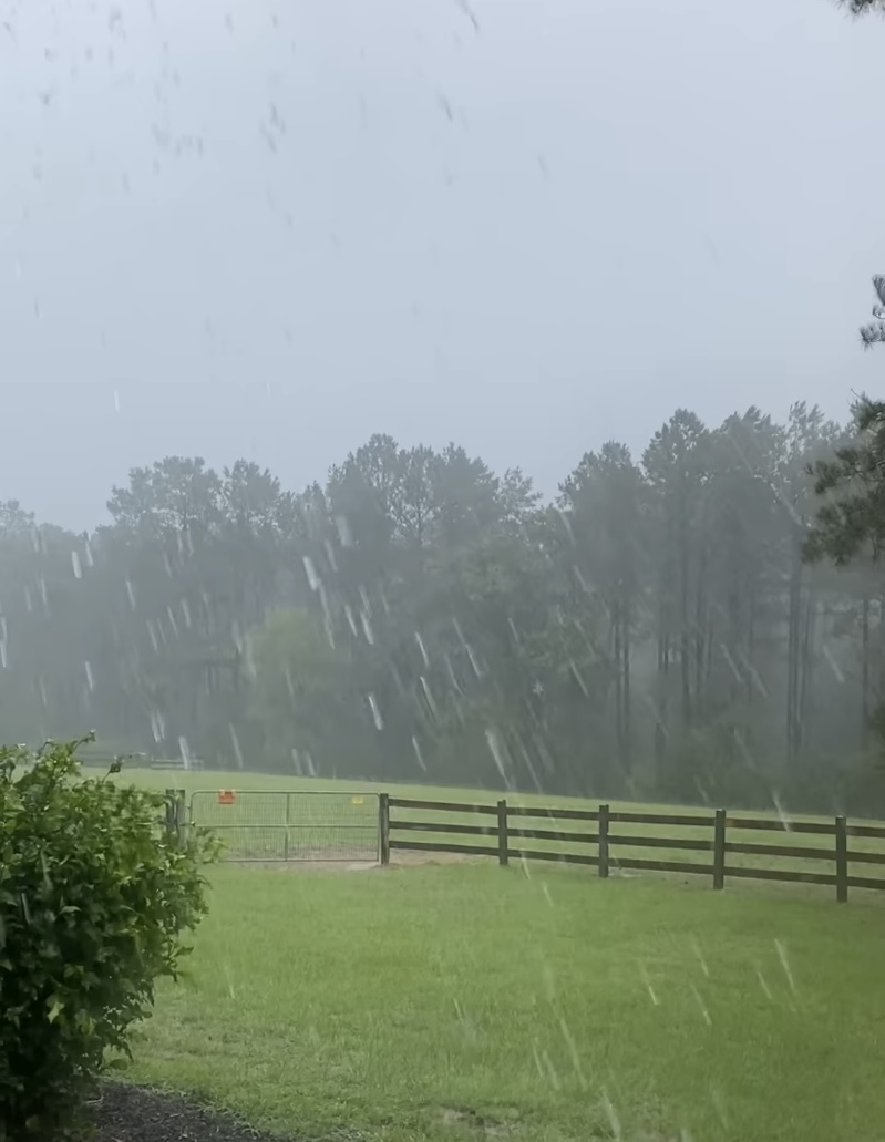 衝撃の落雷映像！馬牧場の電気柵に雷が直撃！！！一瞬にして電気柵は爆発し煙を上げた！