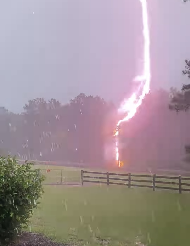 【衝撃映像】馬牧場の電気柵に雷が直撃!!!一瞬にして電気柵は爆発し煙を上げた!【アメリカ・動画】