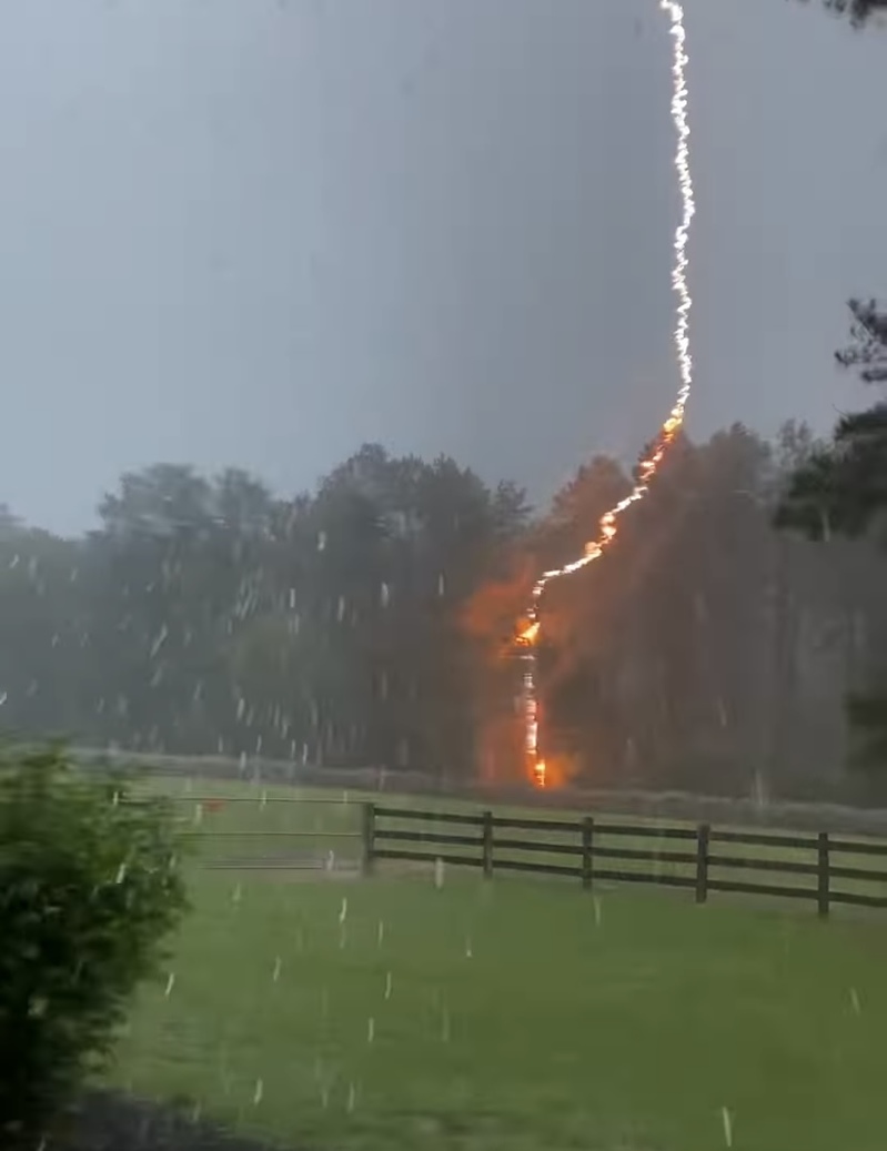 衝撃の落雷映像！馬牧場の電気柵に雷が直撃！！！一瞬にして電気柵は爆発し煙を上げた！