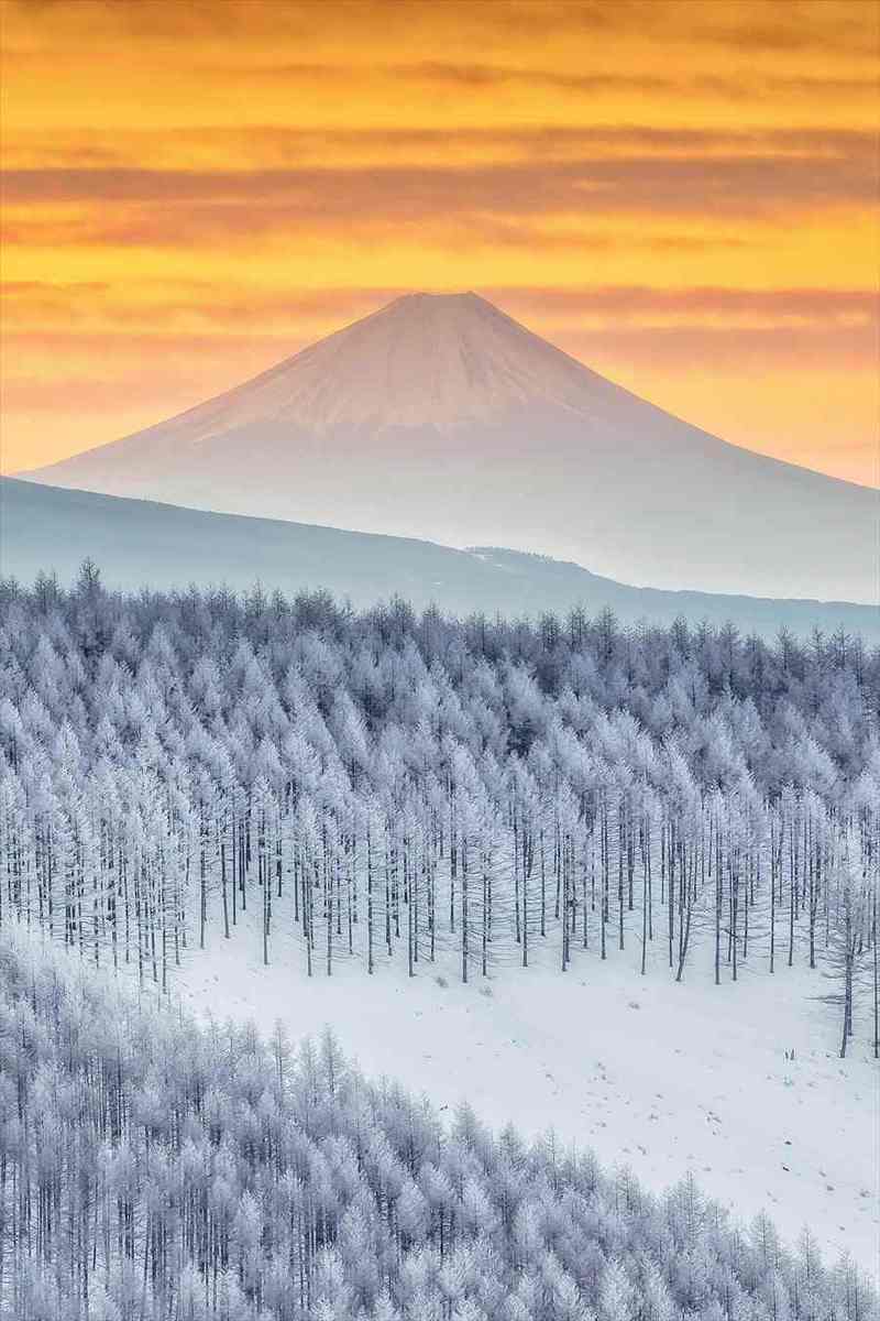 霧ヶ峰から撮影された幻想的な富士山。ハッシュタグ「誰にも負けない最強の1枚を見せて」に投稿された景色が圧巻！！