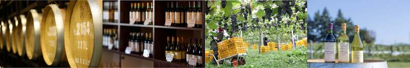 【日本一の星空】長野県阿智村　長野県産ワイン＆シードルが40種類以上『WINE＆CIDER ACHIFAIR』開催