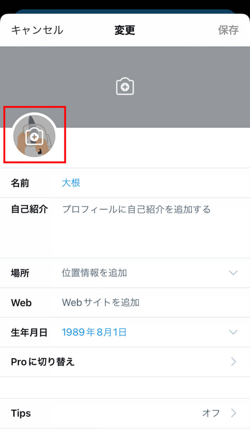 Twitterを人型の初期アイコンに戻す方法 – プロフィール画像の削除はできない