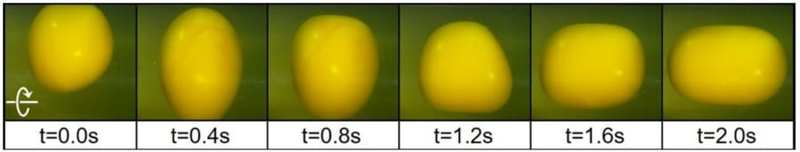 脳に最もダメージを与える動きは「回転運動の急減速」だった　卵の黄身を歪ませる研究で判明